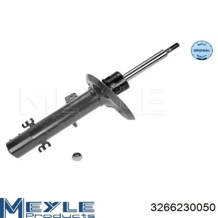 RS317570 Raiso Ліва передня стійка