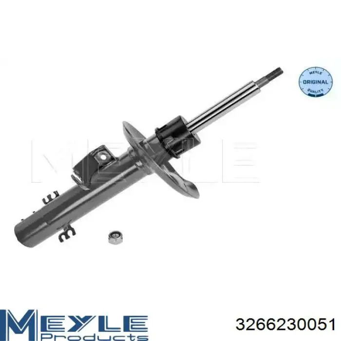 RS317571 Raiso Амортизатор передньої підвіски