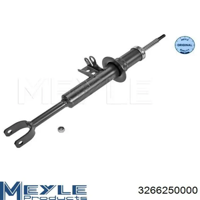 Амортизатор передньої підвіски, лівий Raiso RS314874 ціна, від 40.05 USD