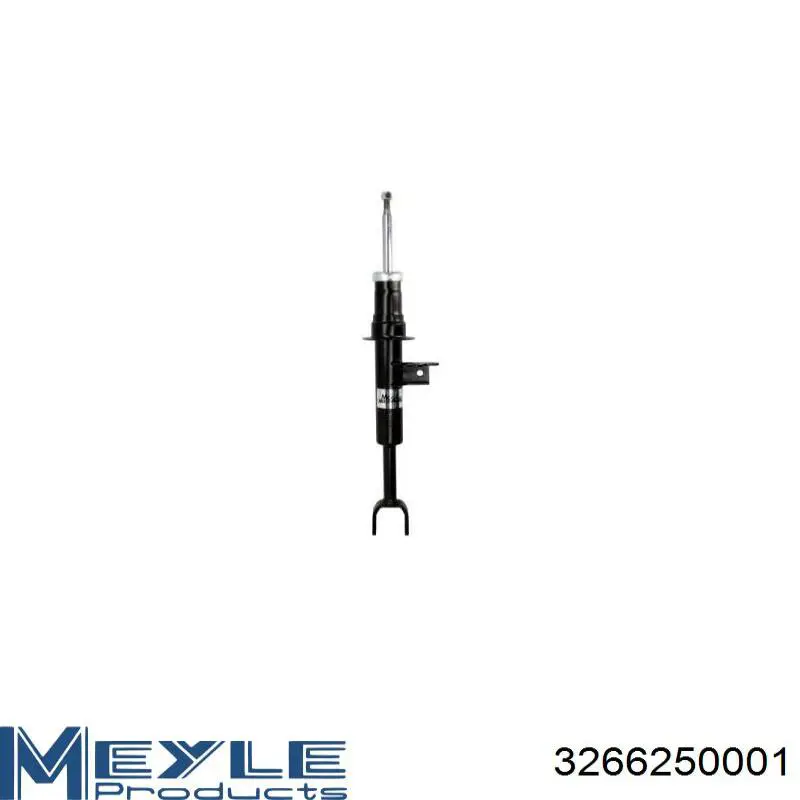 Амортизатор передній, правий Raiso RS314875 ціна, від 38.45 USD