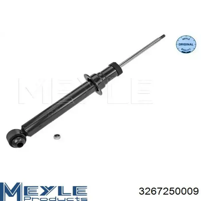 Амортизатор задній Raiso RS314877 ціна, від 37.38 USD