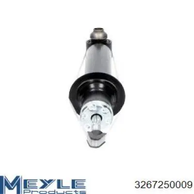 Купити RS314877 Raiso Стійка амортизатора задня