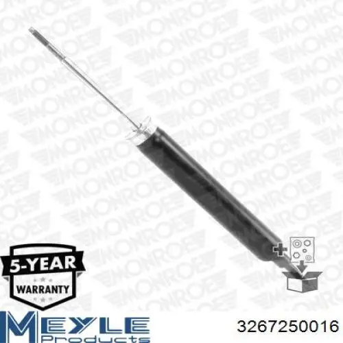 Купити RS310984 Raiso Стійка амортизатора задня