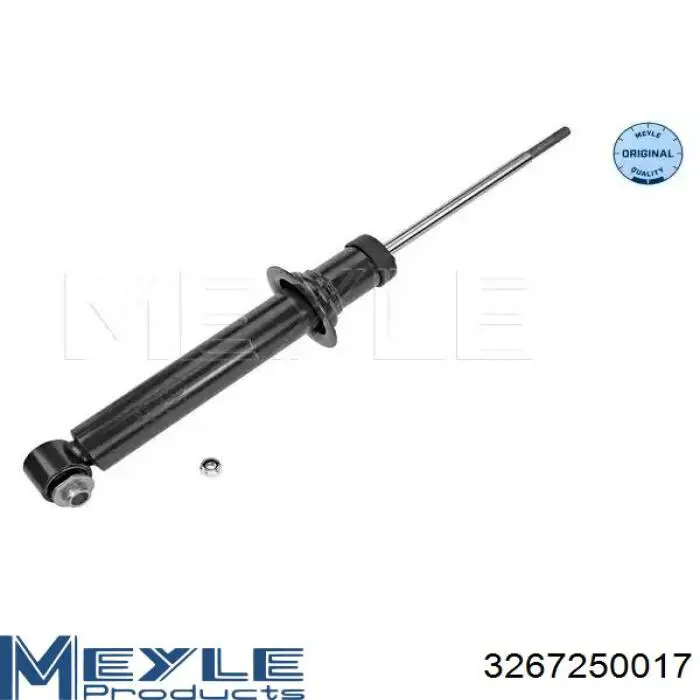 RS310245 Raiso Амортизатори задні