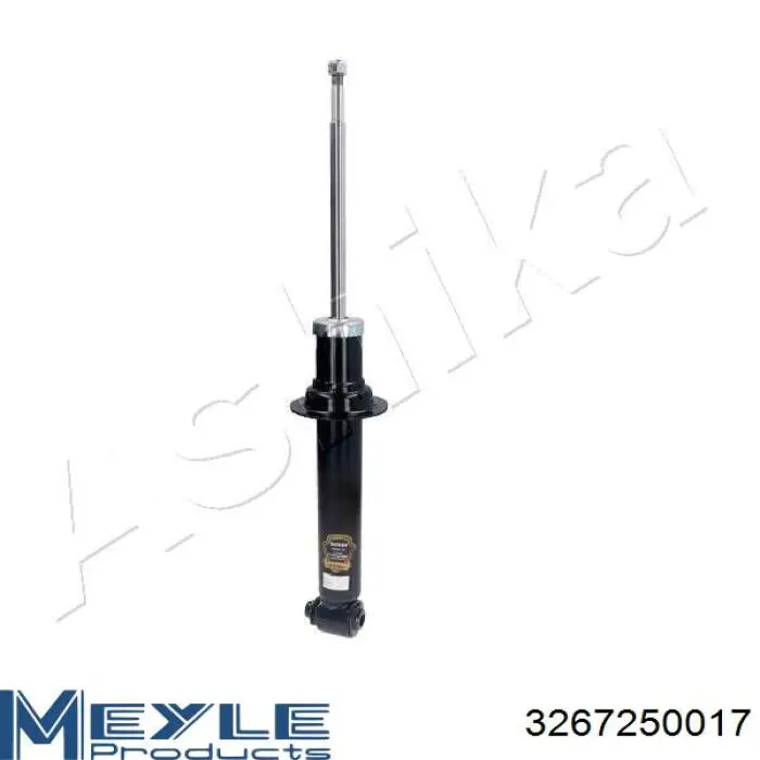Амортизатор задній Raiso RS310245 ціна, від 33.65 USD