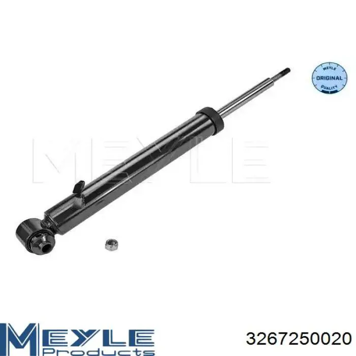 Амортизатор задній, лівий Raiso RS315315 ціна, від 39.20 USD