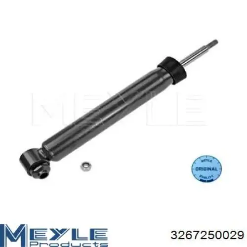 Купити RS314876 Raiso Стійка амортизатора задня
