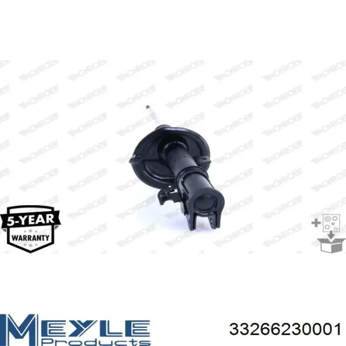 RS313660 Raiso Ліва передня стійка