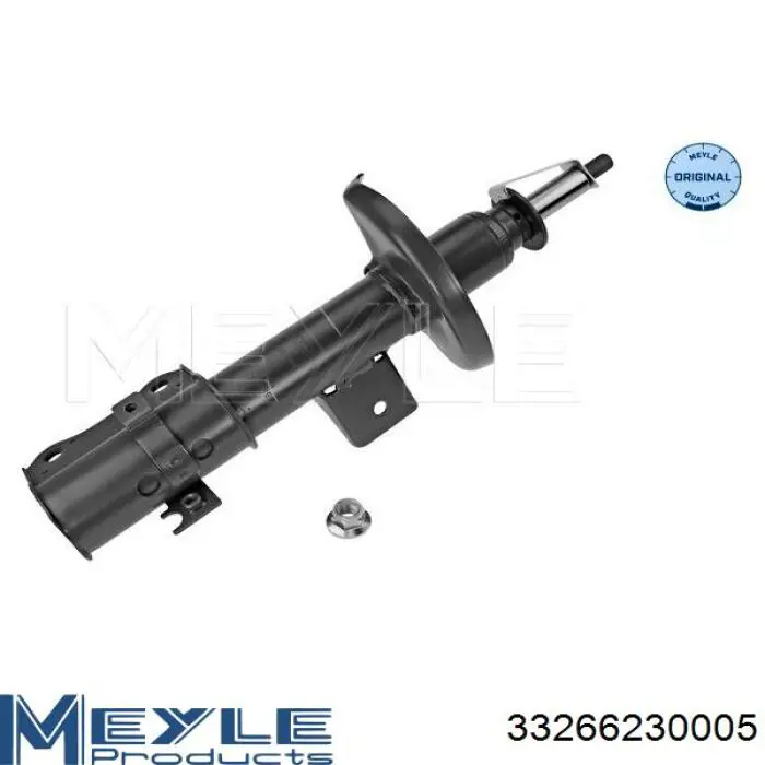 Амортизатор передній, правий RS317185 Raiso