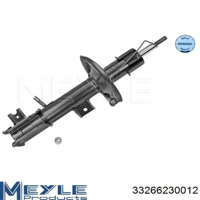 Амортизатор передньої підвіски, лівий Raiso RS312819 ціна, від 46.35 USD