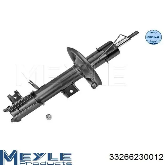 Амортизатора передній лівий RS312819 Raiso