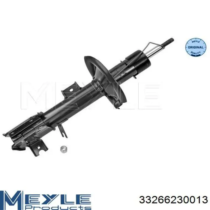 Амортизатор передній, правий Raiso RS312818 ціна, від 46.10 USD