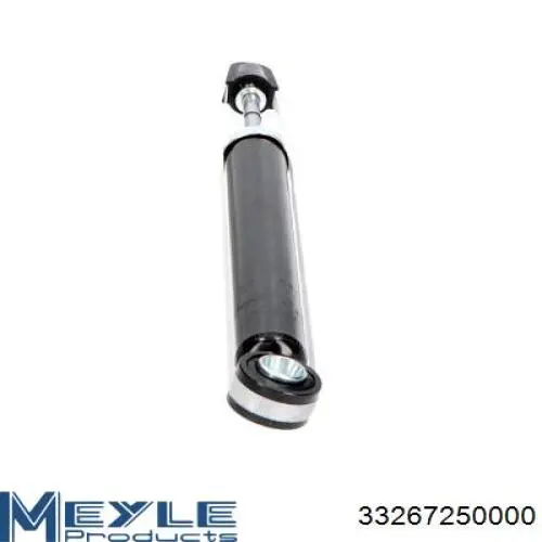 Купити RS316927 Raiso Стійка амортизатора задня