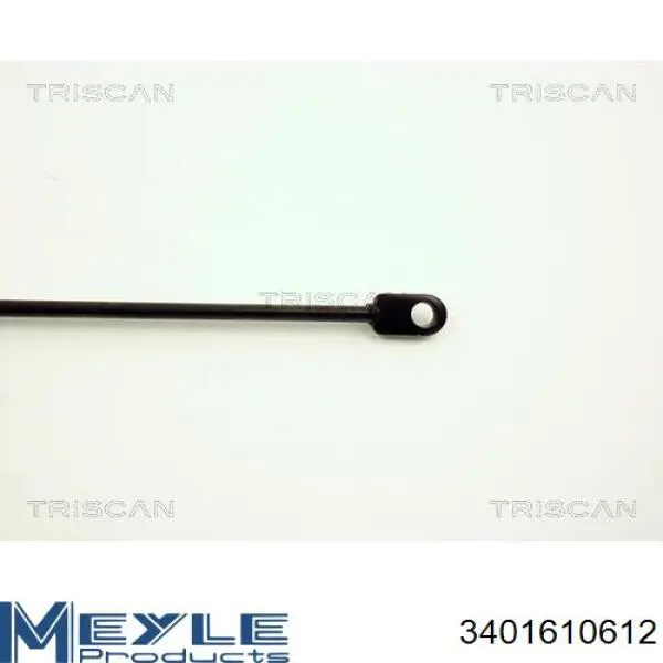 Купити GS0413 Magneti Marelli Амортизатор під капот