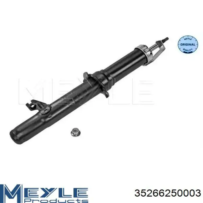 Купити RS314669 Raiso Амортизатор передній, правий