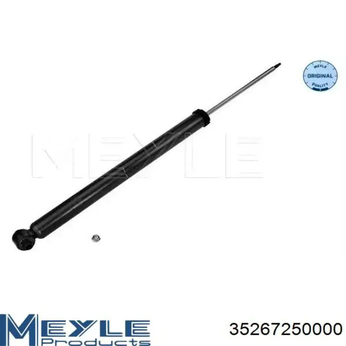 Купити RS313419 Raiso Стійка амортизатора задня