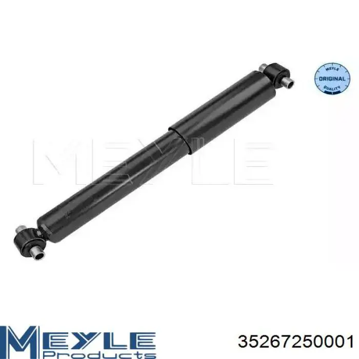 Купити RS313856 Raiso Стійка амортизатора задня