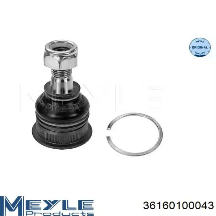 Купити 36160100043 Meyle Кульова опора, нижня