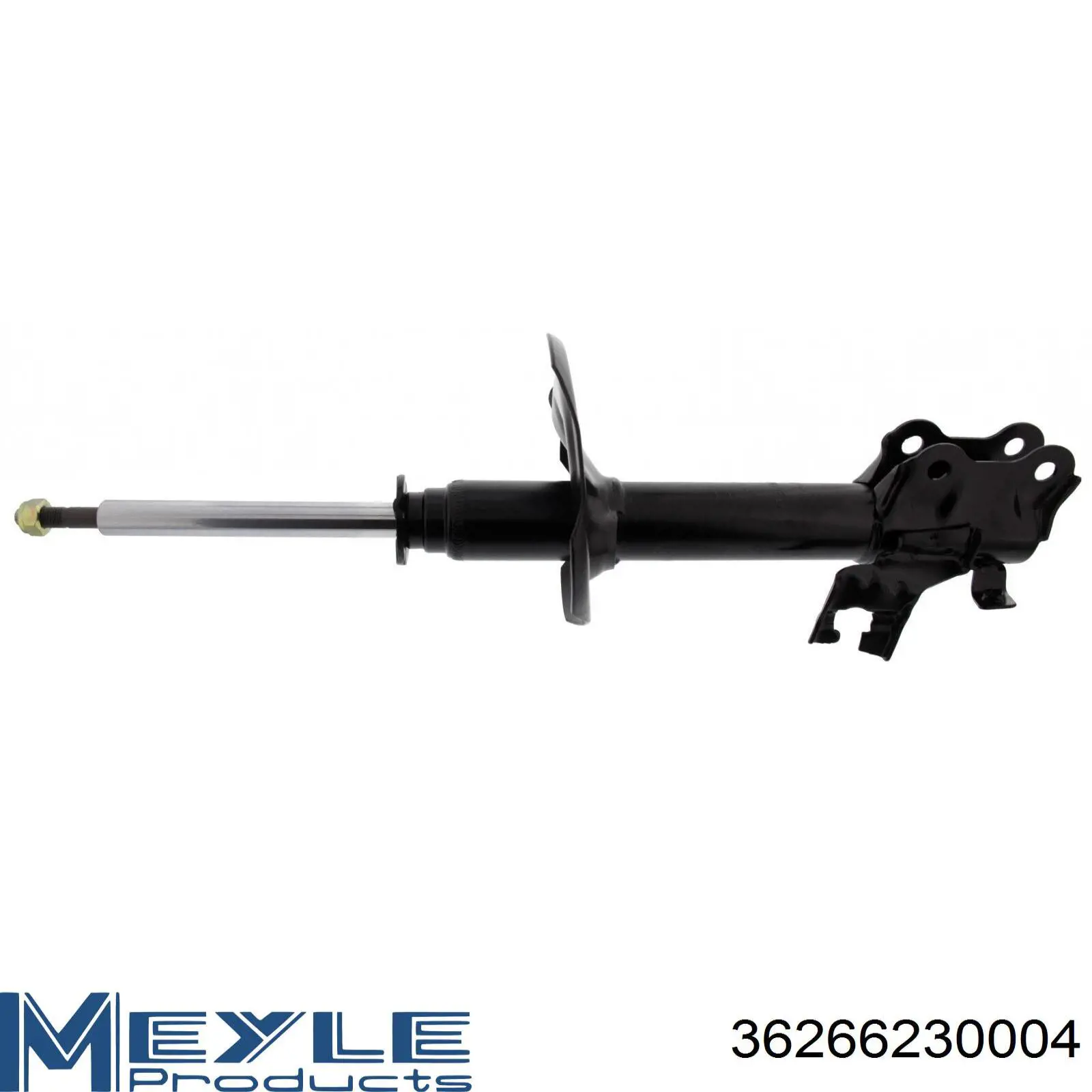 Амортизатора передній лівий RS317157 Raiso