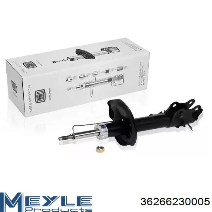 Купити RS317158 Raiso Амортизатор передній, правий
