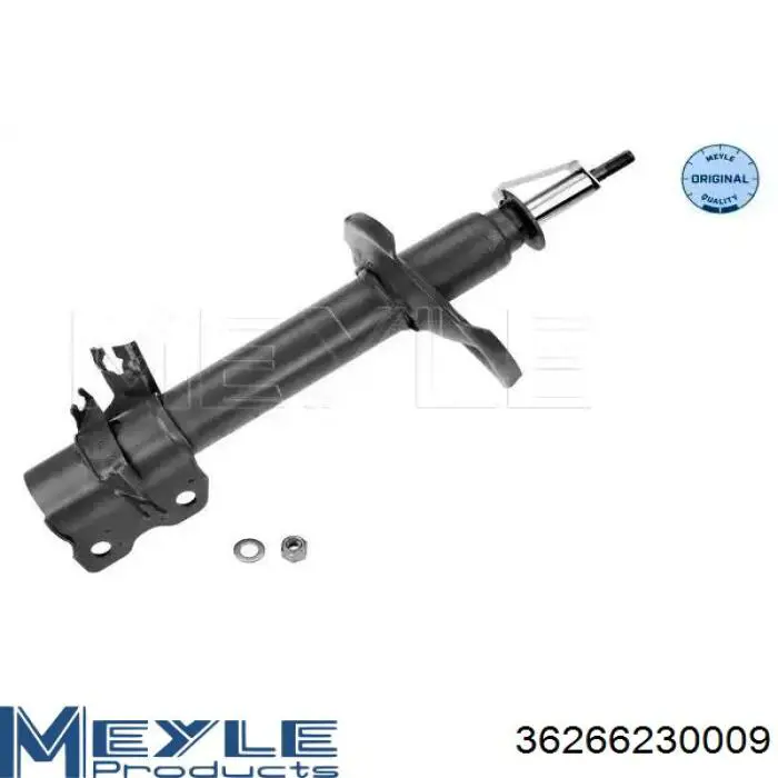 Купити RS317113 Raiso Амортизатор передній, правий
