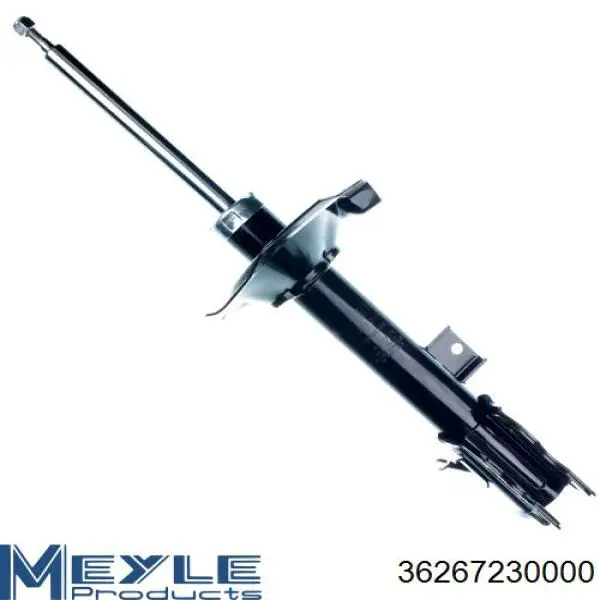 Амортизатор задній, лівий Raiso RS318219 ціна, від 41.93 USD