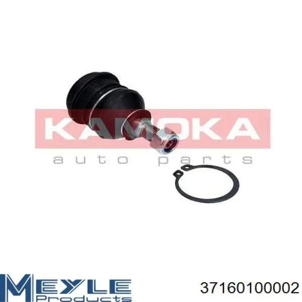 Кульова опора, нижня Raiso RL860817M