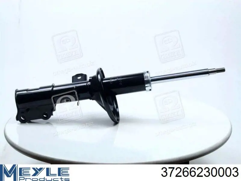 Амортизатор передній, правий Raiso RS317599 ціна, від 32.80 USD