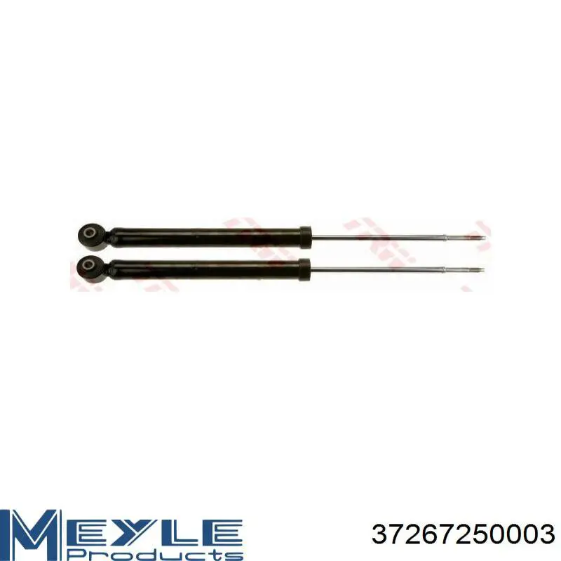 Купити RS314754 Raiso Стійка амортизатора задня