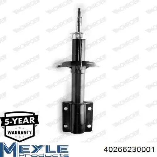 Амортизатор передній RS280975 Raiso