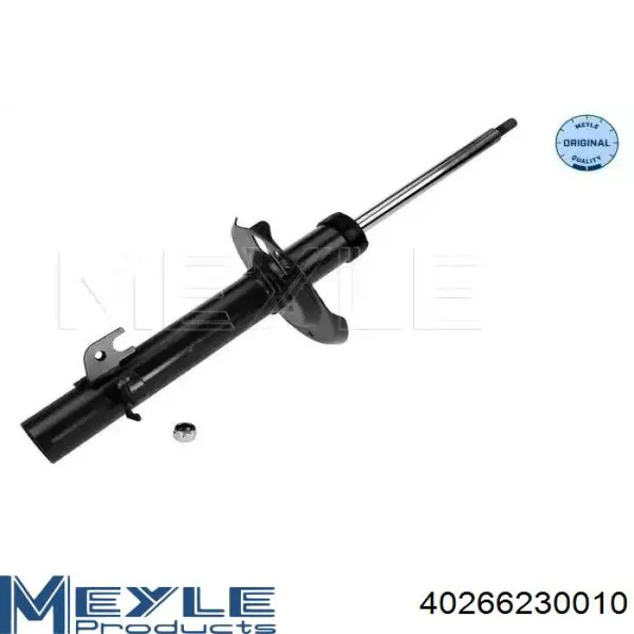 Амортизатора передній лівий RS314630 Raiso