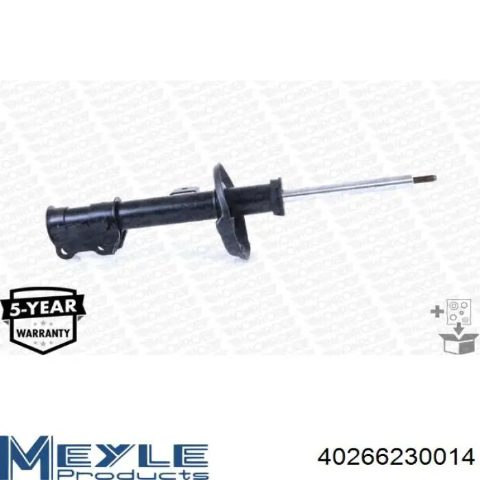Купити RS315126 Raiso Амортизатор передній, правий