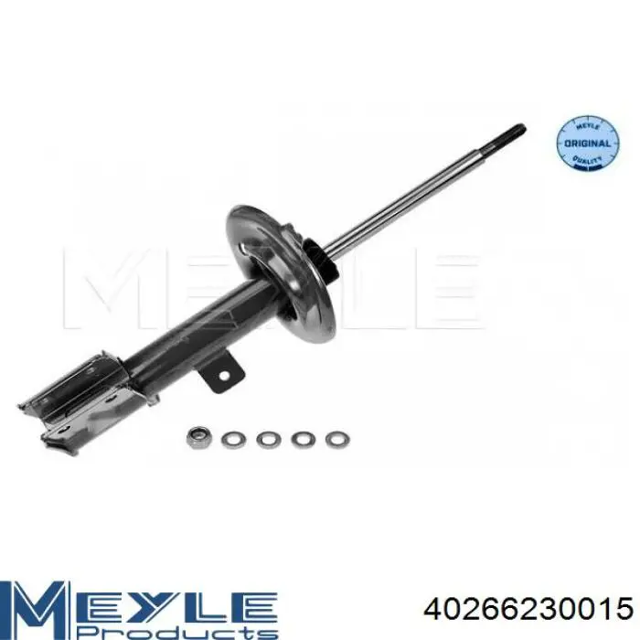 Амортизатор передньої підвіски, лівий Raiso RS314886 ціна, від 35.98 USD