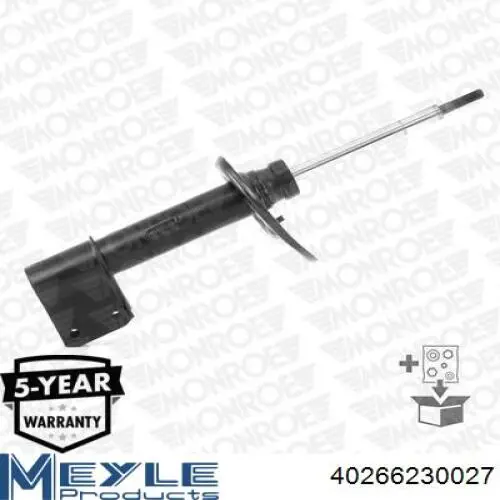 Амортизатор передній, правий Raiso RS315989 ціна, від 41.85 USD
