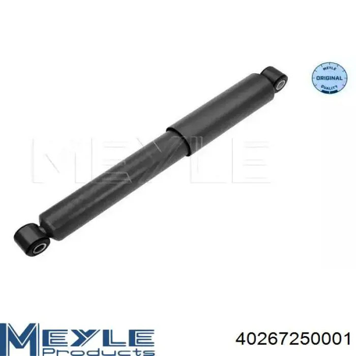 Амортизатор задній Raiso RS280979 ціна, від 18.79 USD