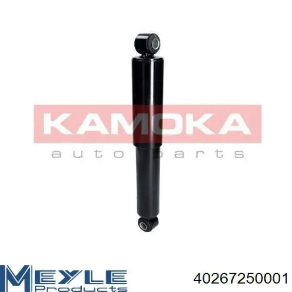 Амортизатор задній RS280979 Raiso