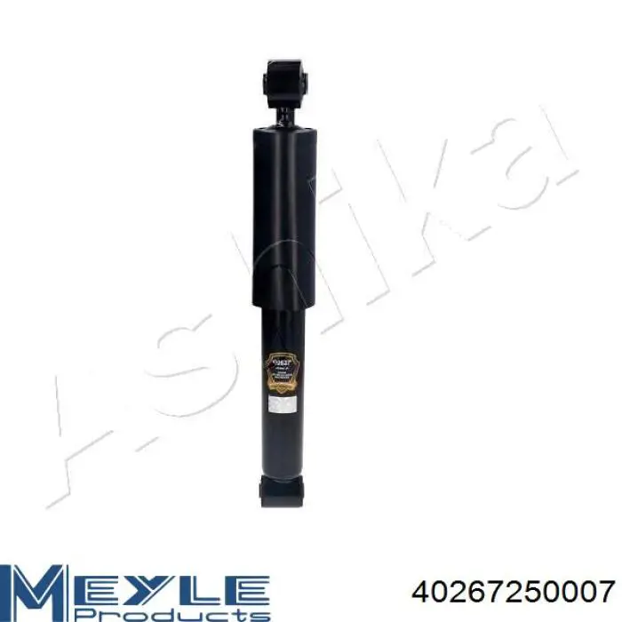 Купити RS315132 Raiso Стійка амортизатора задня