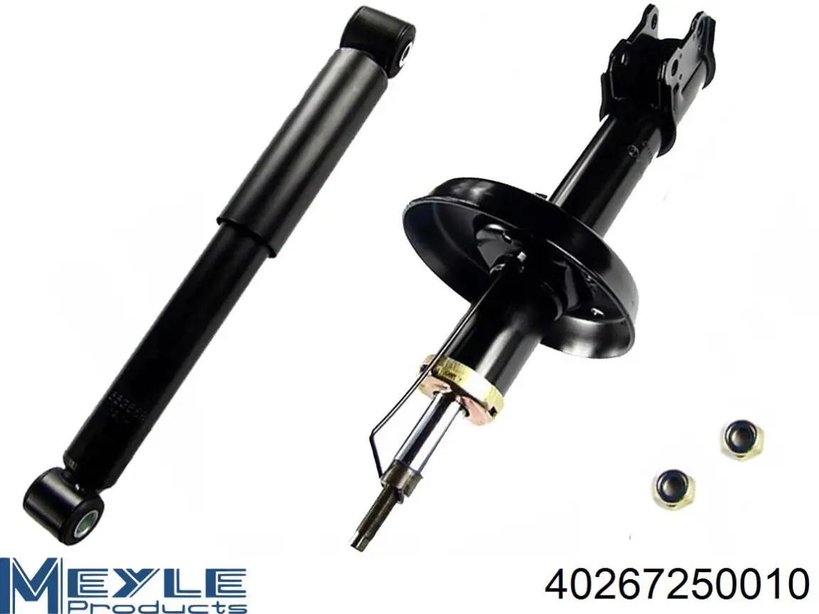 Амортизатор задній Raiso RS314934 ціна, від 21.76 USD