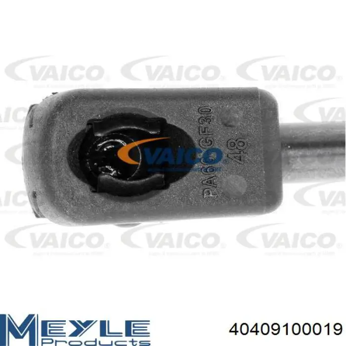 Амортизатор багажника GS0848 Magneti Marelli