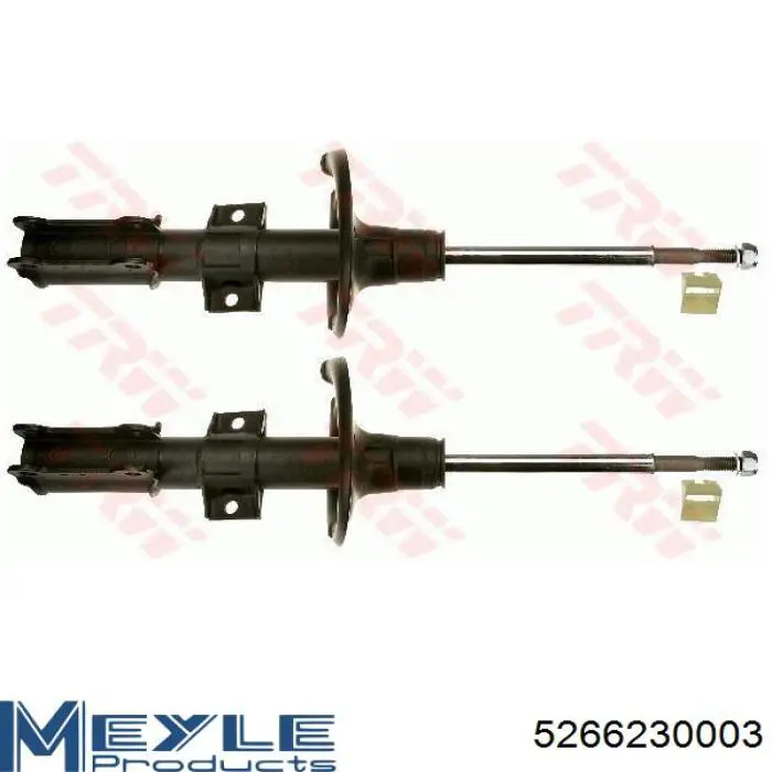 Купити RS554046 Raiso Амортизатор передньої підвіски