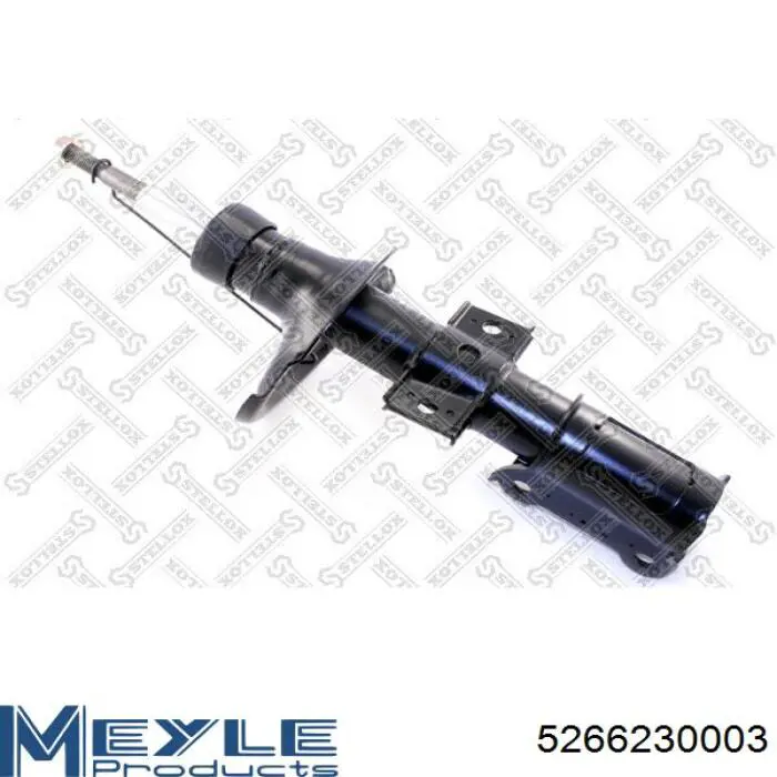 RS554046 Raiso Стійка передня
