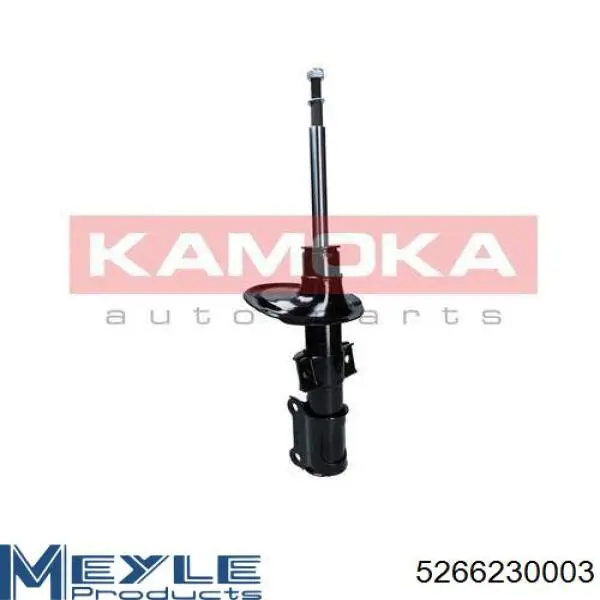 Стойка амортизатора передняя Raiso RS554046 ціна, від 43.78 USD