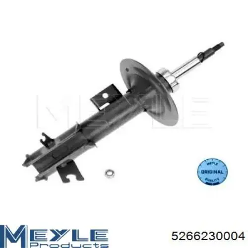 Амортизатор передній, правий Raiso RS310838 ціна, від 51.34 USD