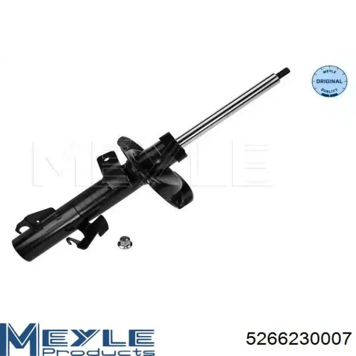 Амортизатор передньої підвіски, лівий Raiso RS313667 ціна, від 43.54 USD