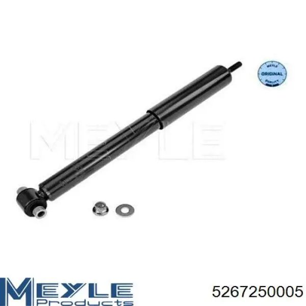 Купити RS317339 Raiso Стійка амортизатора задня