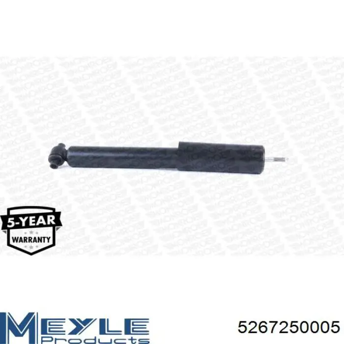 Амортизатор задній RS317339 Raiso