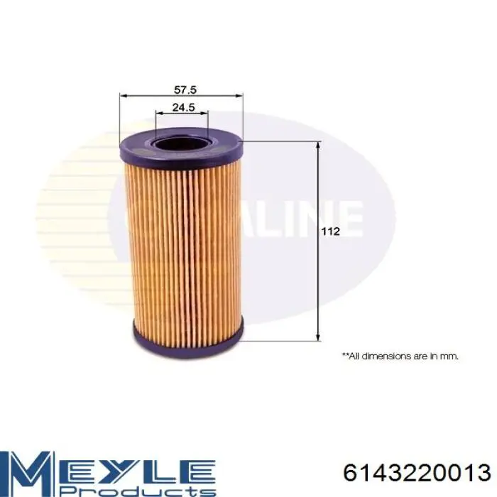 Купити 6143220013 Meyle Фільтр очищення масла відцентровий