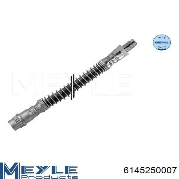 Купити 8200688043 Renault (RVI) Шланг гальмівний задній