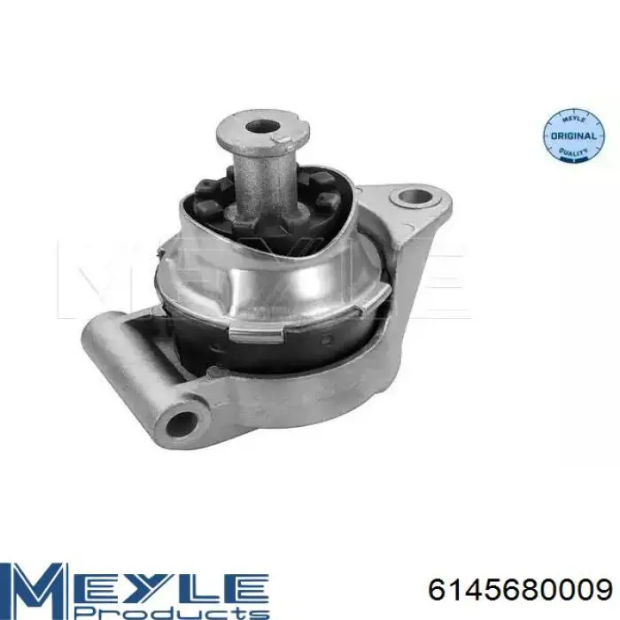 RH115009 Reinhoch Задня подушка двигуна