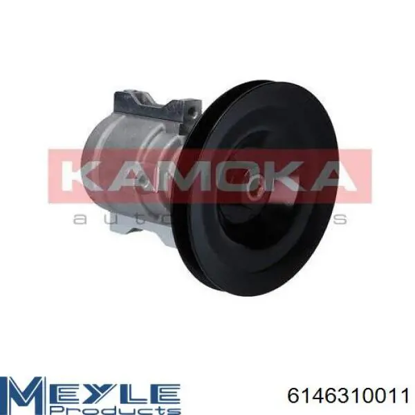 Насос ГПК Renault (RVI) 491105169R ціна, від 66.92 USD